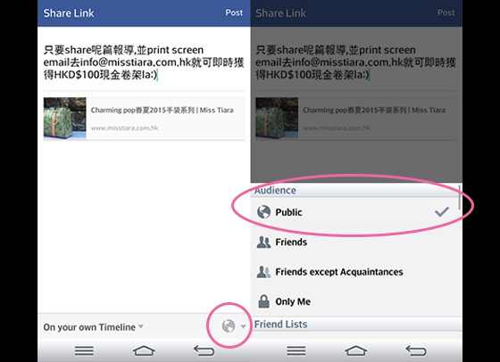 Share=$100  Charming pop春夏2015手袋系列