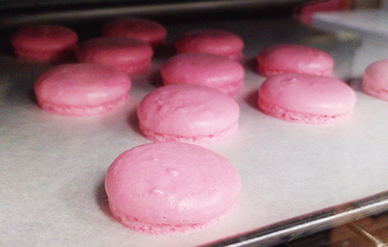中秋手作兔仔macaron
