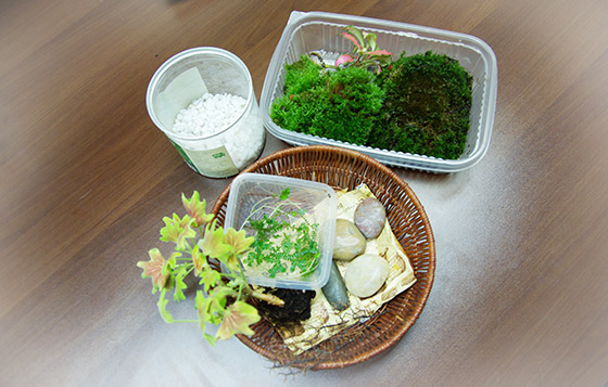 辦公桌上建花園