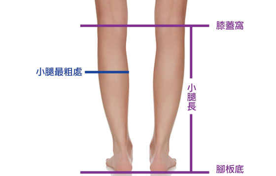 計一計 象腿現形