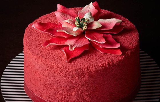 Rose Poinsettia　售價：$780/500g、$1,250/1,000g