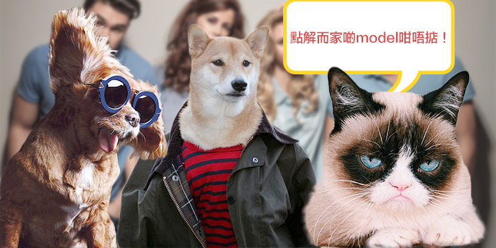 汪星人伸脷做代言