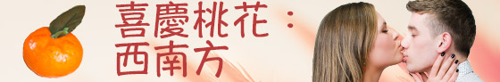九紫為喜慶星，乙未羊年位於西南方，若你今年希望有喜慶事發生，可於你座位的西南方擺放一些紫色的公仔或是紫水晶，均有助運勢。