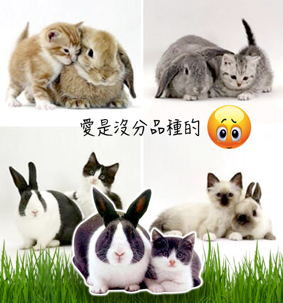 高招情侶look曬恩愛