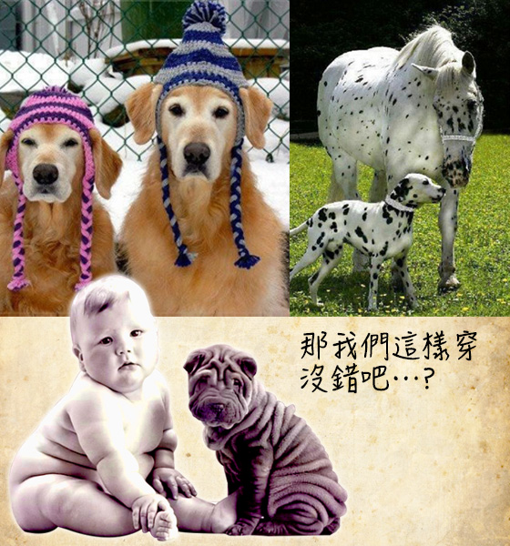 高招情侶look曬恩愛