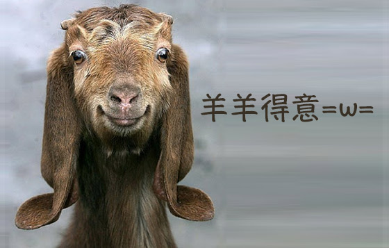 羊羊得意拜年