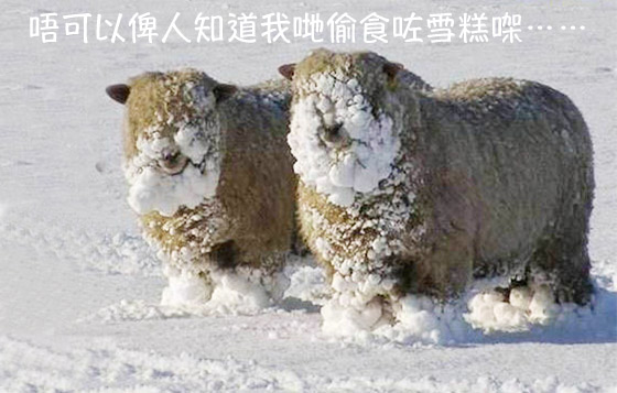 羊羊得意拜年