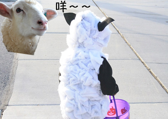 也不是叫你喬裝成羊啦……（灰）,是選有「羊咩咩」質感或是「咩咩」圖案的衣飾才對！