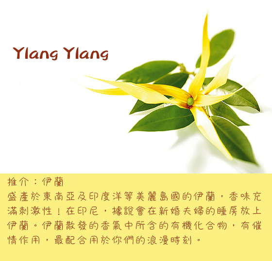 香噴噴動情大法