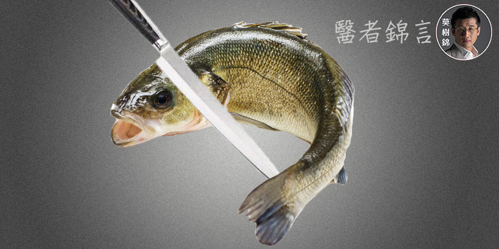 莫樹錦：割烹