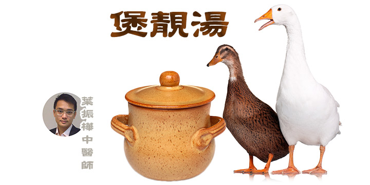 煲靚湯：薏米x老鴨去水腫