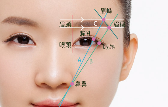 畫平直眉常犯的錯誤
