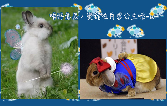 搞搞震復活兔派對