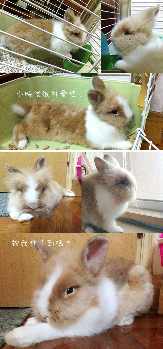 鍚錫華田：佢開始鹹濕啦