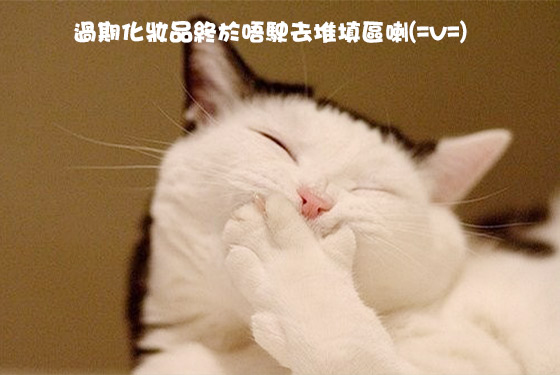 廢棄妝品美甲絕技