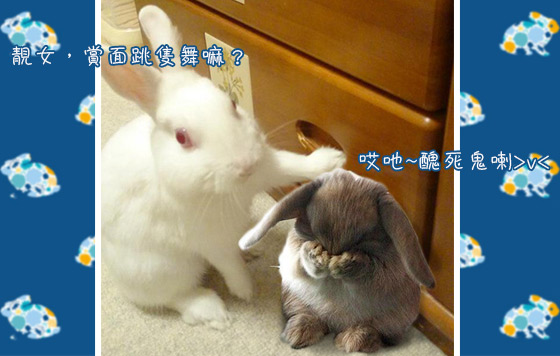 搞搞震復活兔派對