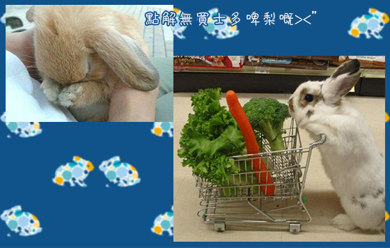 搞搞震復活兔派對