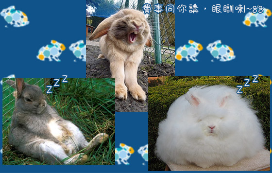 搞搞震復活兔派對