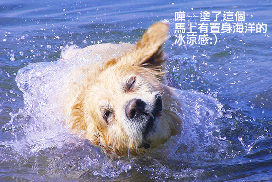 廢棄妝品美甲絕技