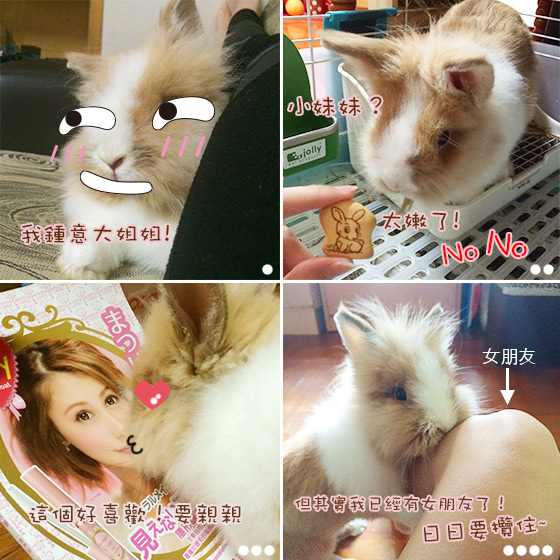 兔在2902的日子：我冧大姐姐