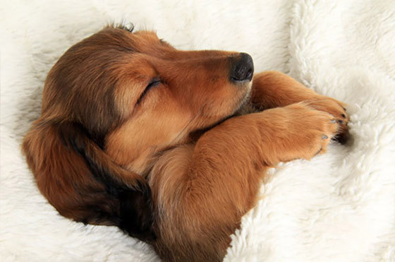 zzz…