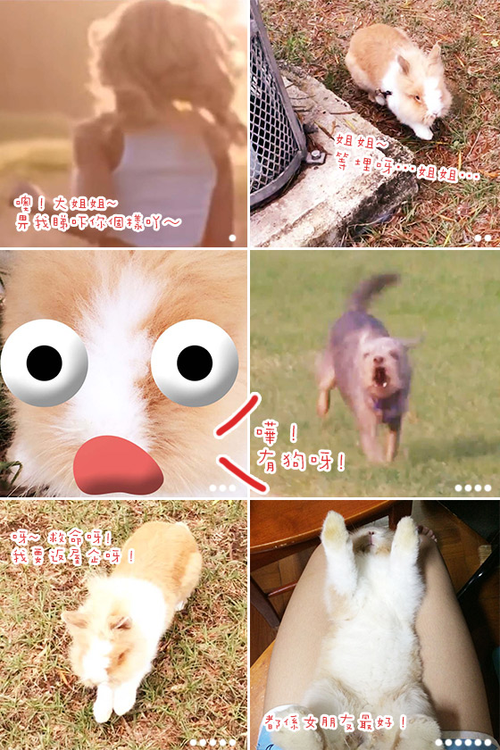 兔在2902的日子：性感姐姐兔兔剋星？