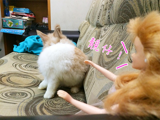 兔在2902的日子：遇上金髮美女