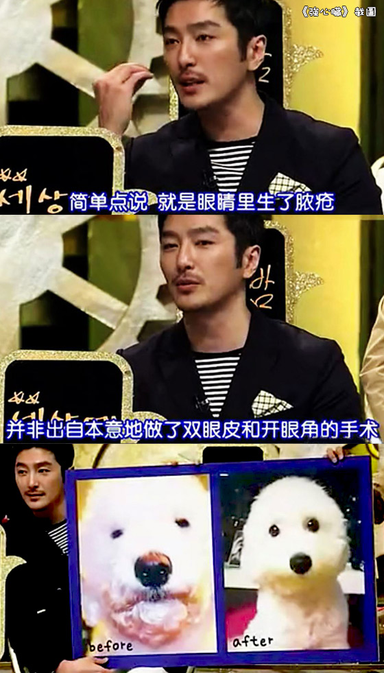 韓國寵物整容　鬧爆