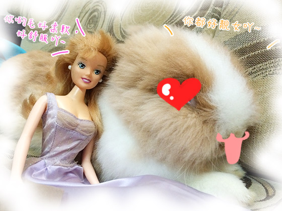 兔在2902的日子：遇上金髮美女