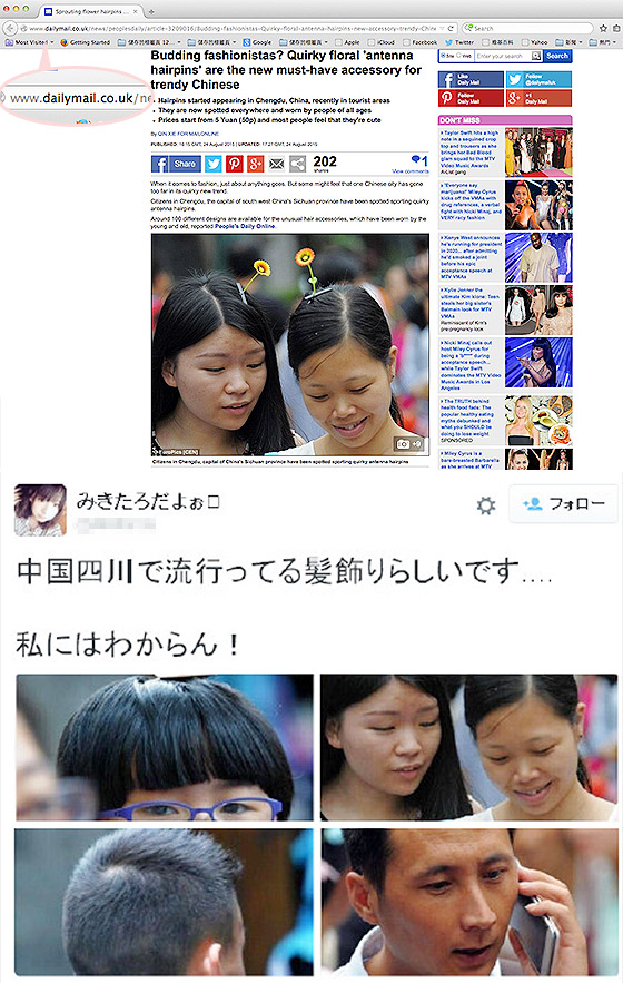 潮玩髮飾　國產荳芽花 vs 日本金屬插梳