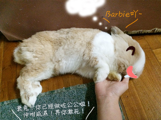 兔在2902的日子：遇上金髮美女