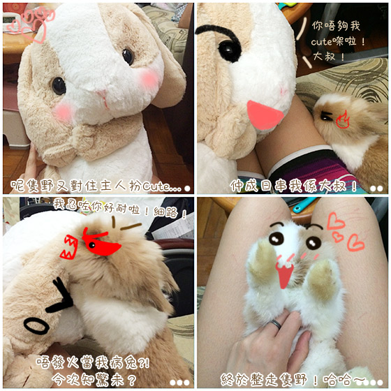 兔在2902的日子：搶我女友？兔都有火！