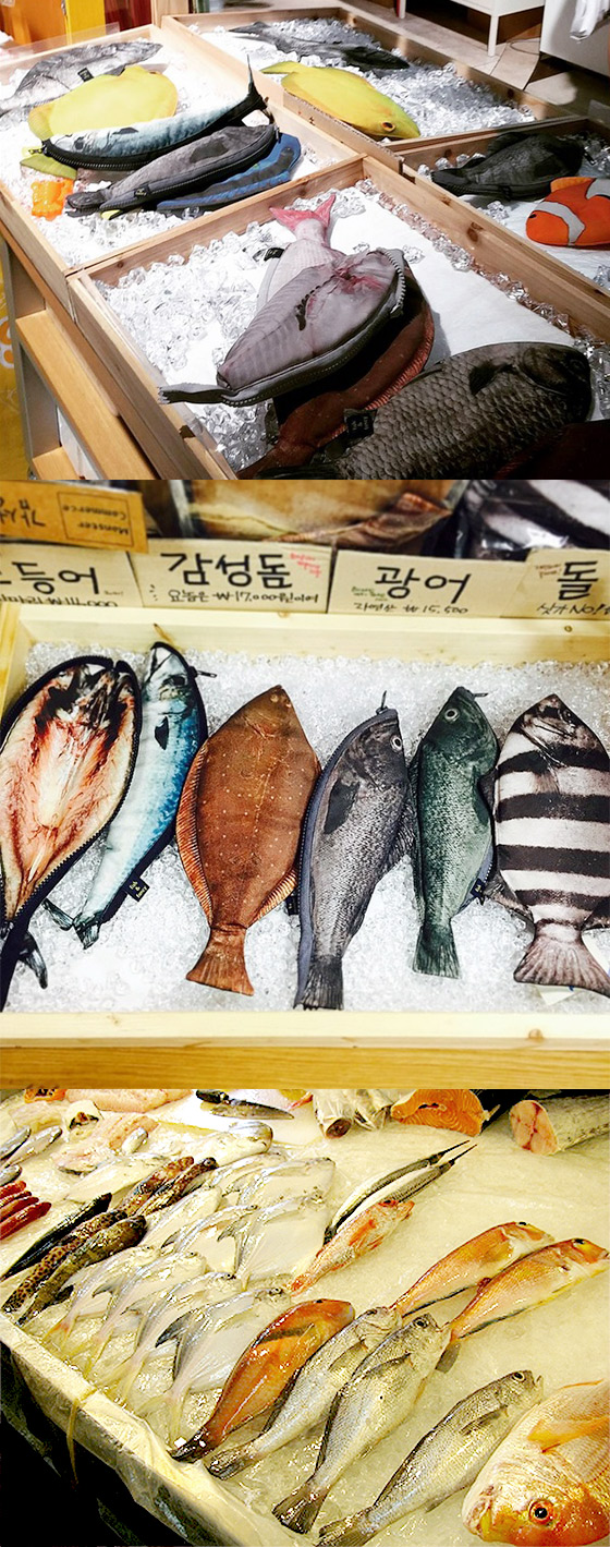 趁韓潮：魚筆袋呃Like