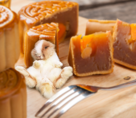 中秋另一大主角梗係月餅啦!不過兔兔係唔食嘅,你都咪食咁多! 中秋另一大主角梗係月餅啦!不過兔兔係唔食嘅,你都咪食咁多!