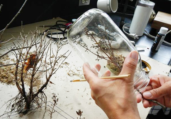 2. 把樹枝修剪到比玻璃瓶稍短，用熱熔膠把樹枝貼在苔蘚內。