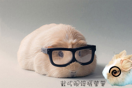 世上最可愛的四眼look