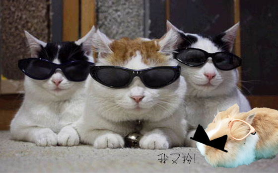 世上最可愛的四眼look