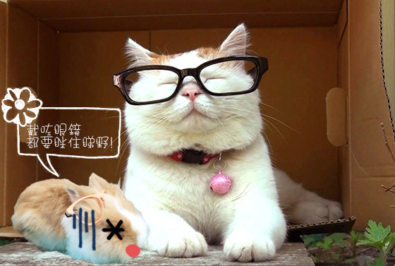世上最可愛的四眼look