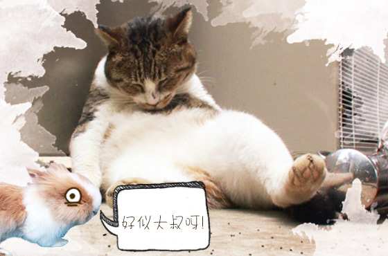 爛瞓喵星人