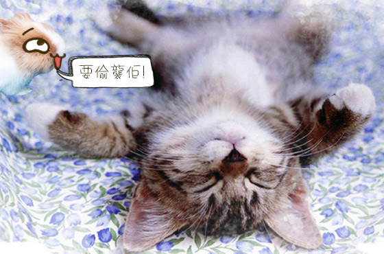 爛瞓喵星人