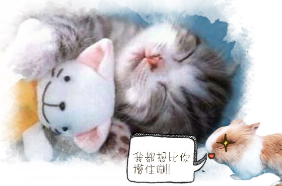 爛瞓喵星人