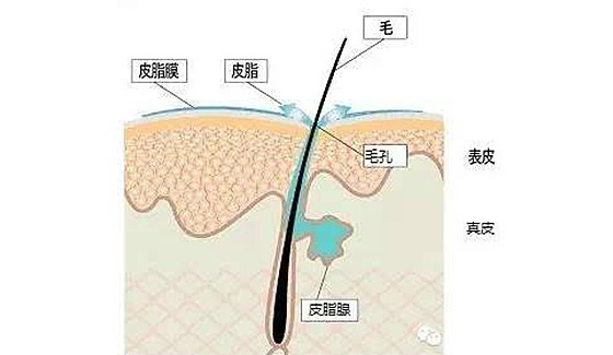 Be a lady：我的神仙油