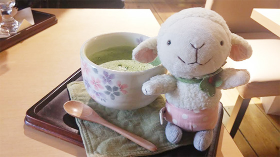 森田九段熱抹茶 350日圓
