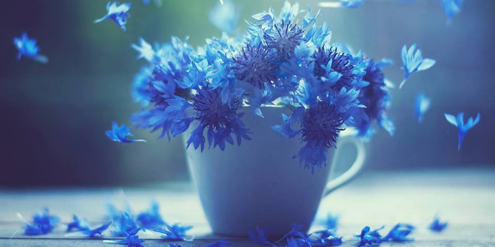 花點心思。花點綴浪漫