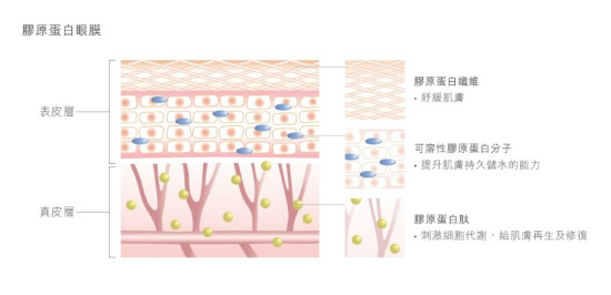【無暇肌方案】個人化eye mask？