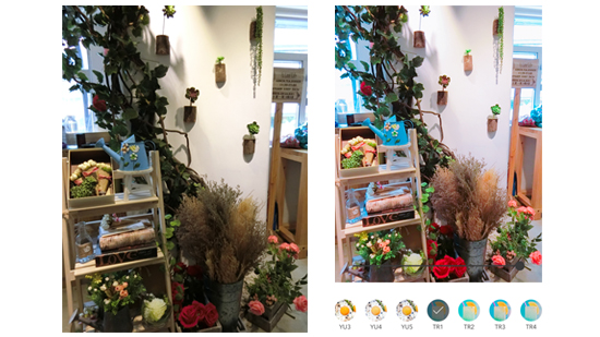 公開小編的美圖工具！