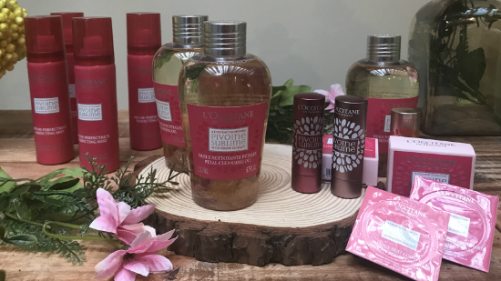 【周末好去處】置身法國花海 L’OCCITANE Pop-Up Provence Market！